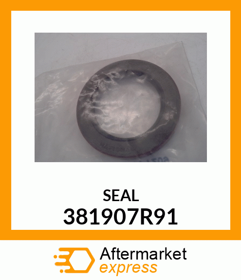 SEAL 381907R91