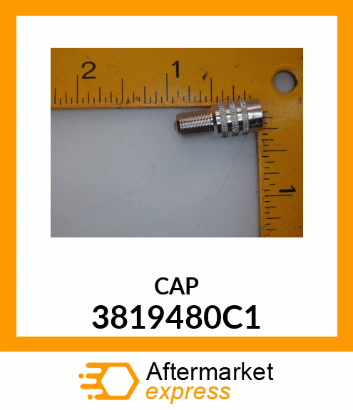 CAP 3819480C1