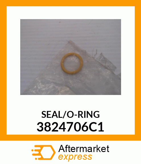 SEAL/O-RING 3824706C1