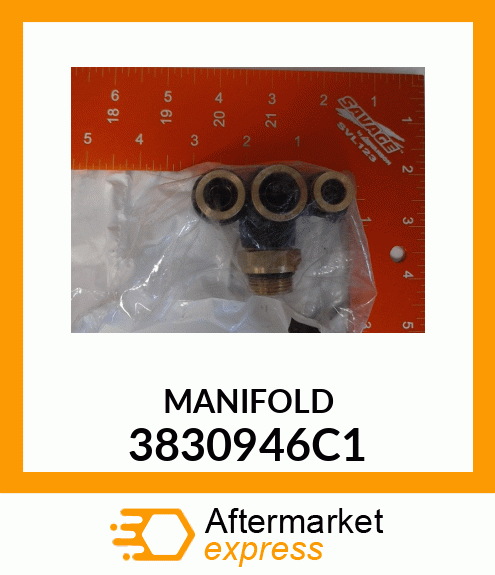 MANIFOLD 3830946C1