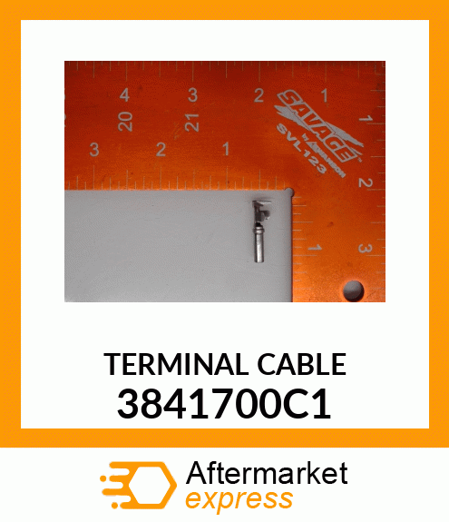 TERMINAL CABLE 3841700C1