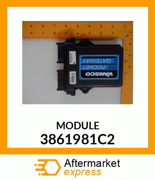 MODULE 3861981C2