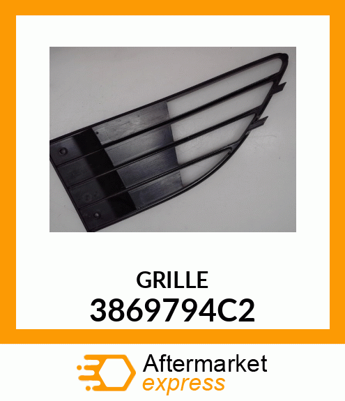 GRILLE 3869794C2