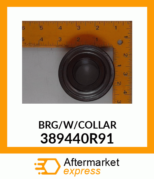 BRG/W/COLLAR 389440R91