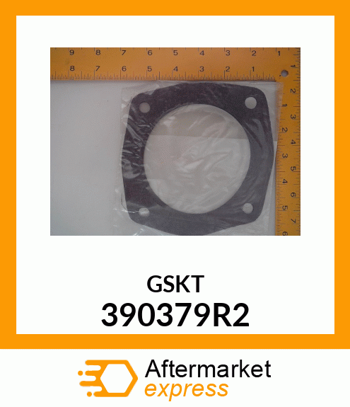 GSKT 390379R2