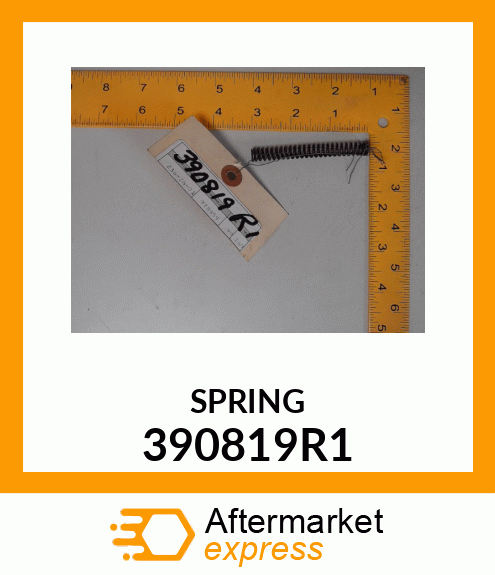 SPRING 390819R1