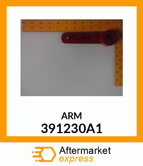 ARM 391230A1