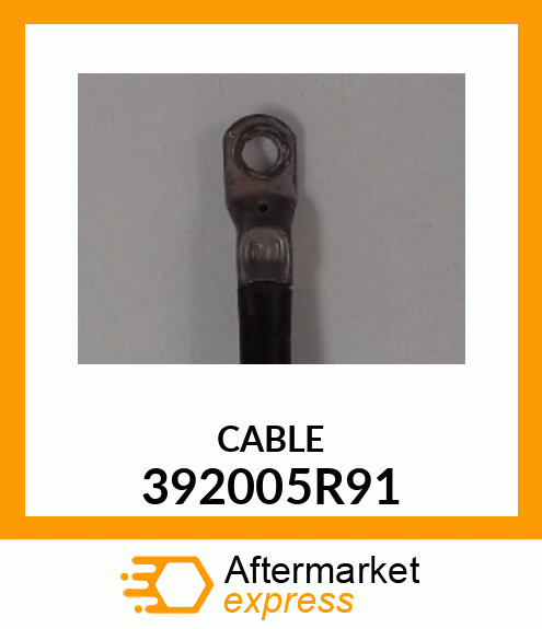 CABLE 392005R91