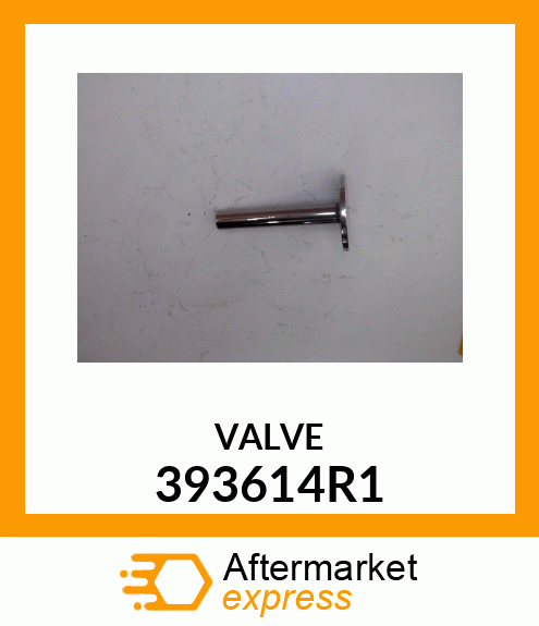 VALVE 393614R1