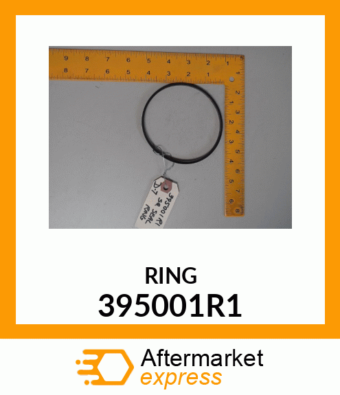 RING 395001R1