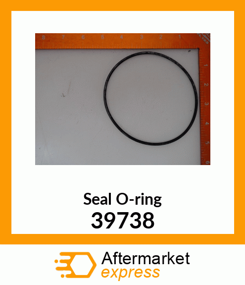 Seal O-ring 39738