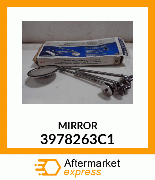 MIRROR 3978263C1