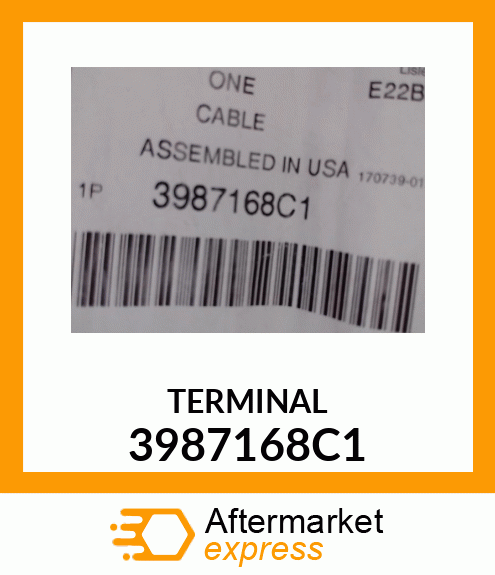 TERMINAL 3987168C1