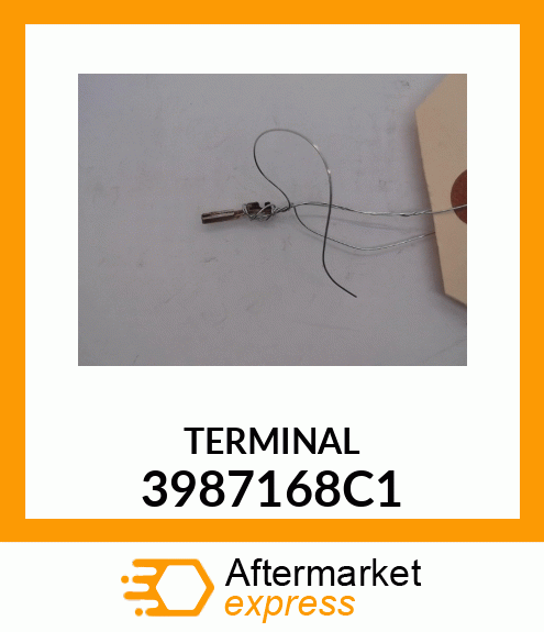 TERMINAL 3987168C1