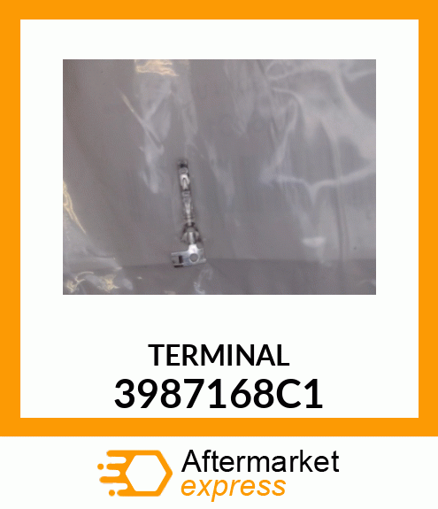 TERMINAL 3987168C1