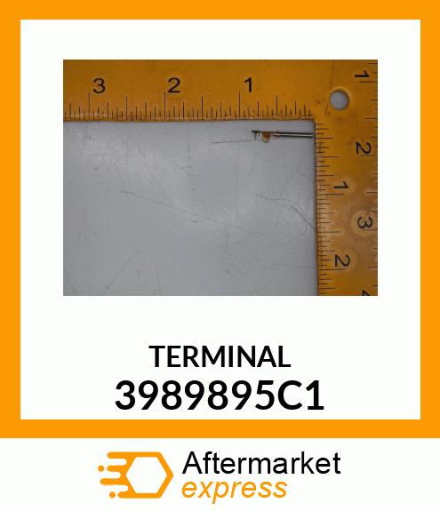 TERMINAL 3989895C1