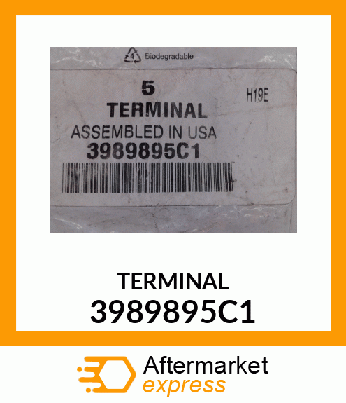 TERMINAL 3989895C1