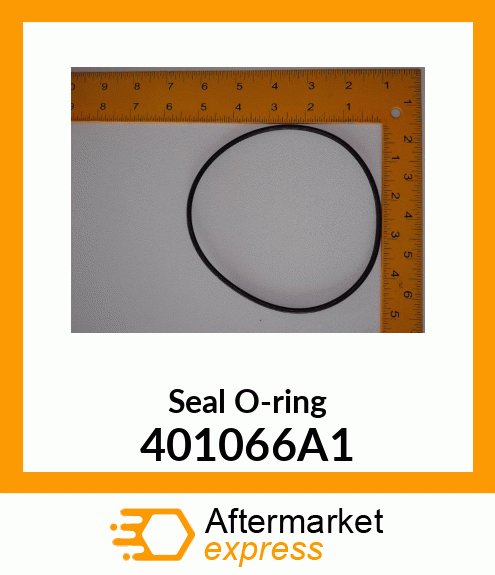 Seal O-ring 401066A1