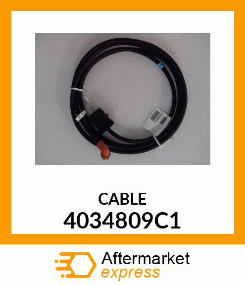 CABLE 4034809C1