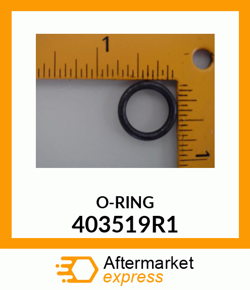 O-RING 403519R1