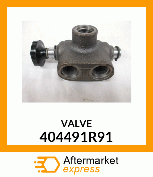 VALVE 404491R91