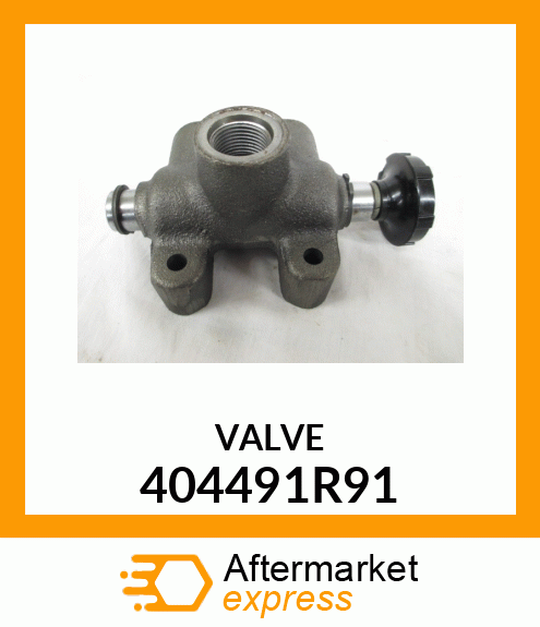 VALVE 404491R91