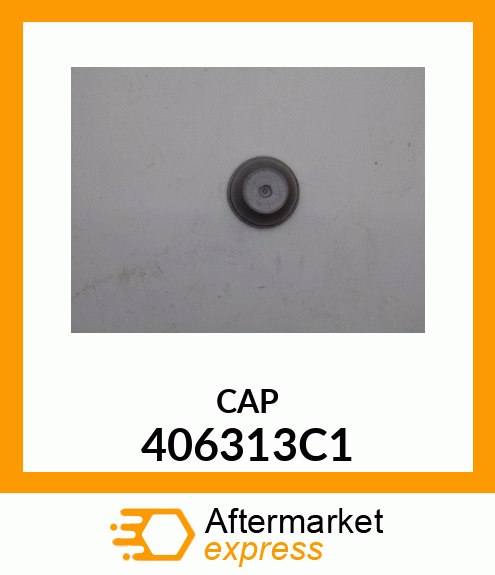 CAP 406313C1