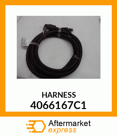 HARNESS 4066167C1