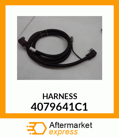 HARNESS 4079641C1