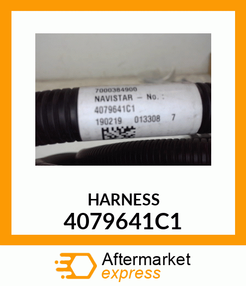 HARNESS 4079641C1