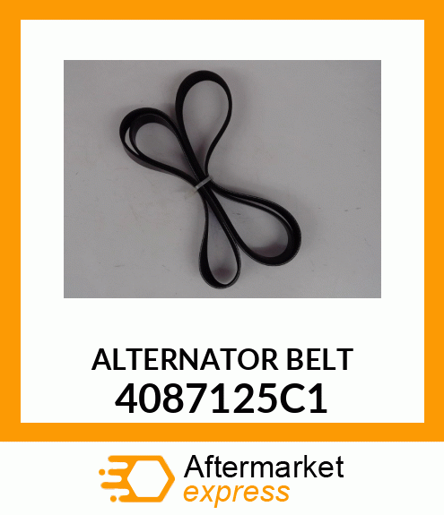 ALTERNATOR BELT 4087125C1