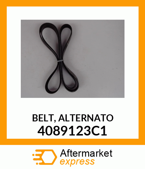 BELT, ALTERNATO 4089123C1