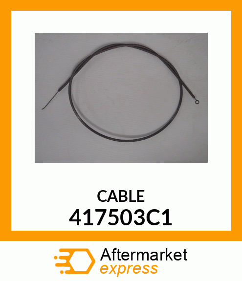 CABLE 417503C1