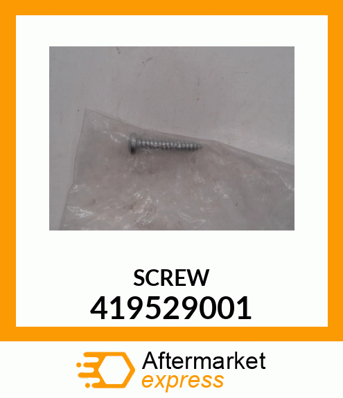 SCREW 419529001