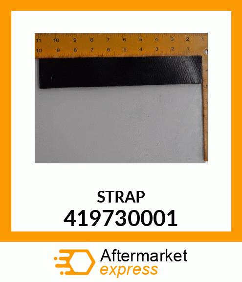 STRAP 419730001