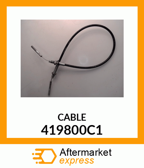 CABLE 419800C1