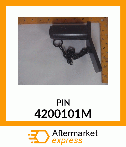 PIN 4200101M