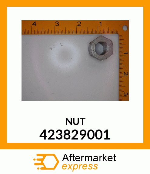 NUT 423829001