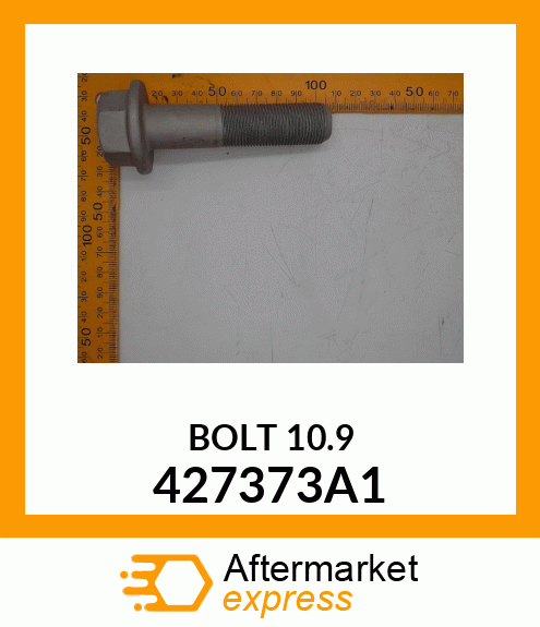 BOLT 10.9 427373A1