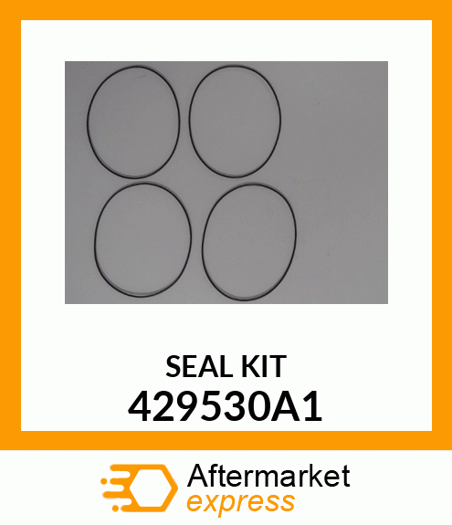 SEAL KIT 429530A1