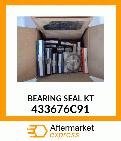 BEARING SEAL KT 433676C91