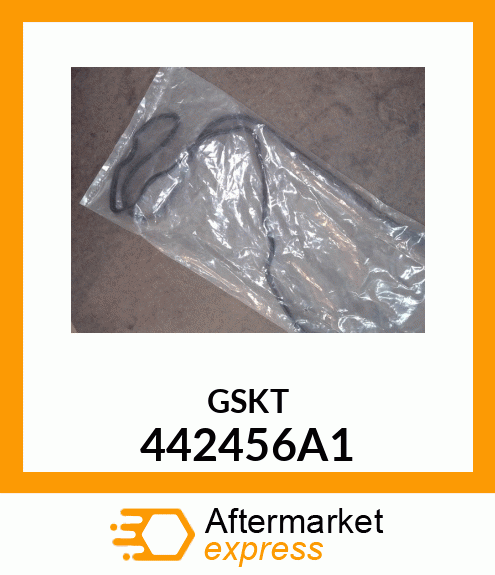 GSKT 442456A1