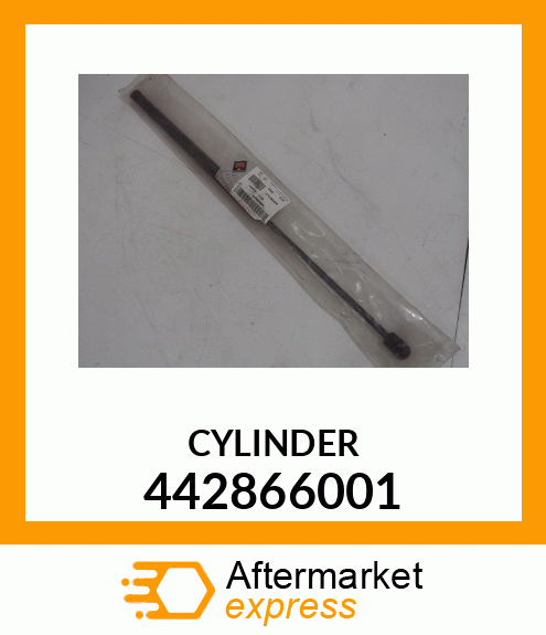 CYLINDER 442866001