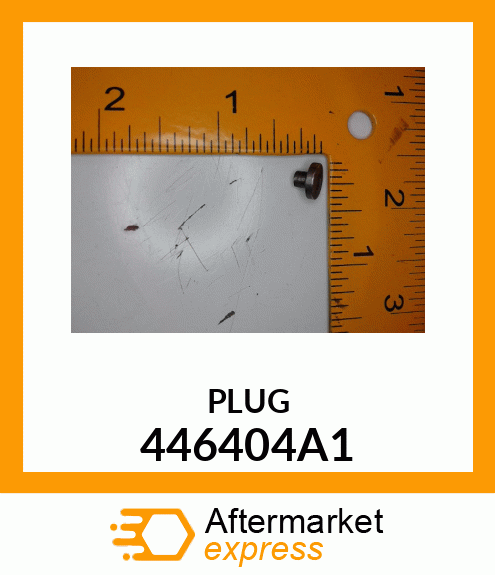 PLUG 446404A1