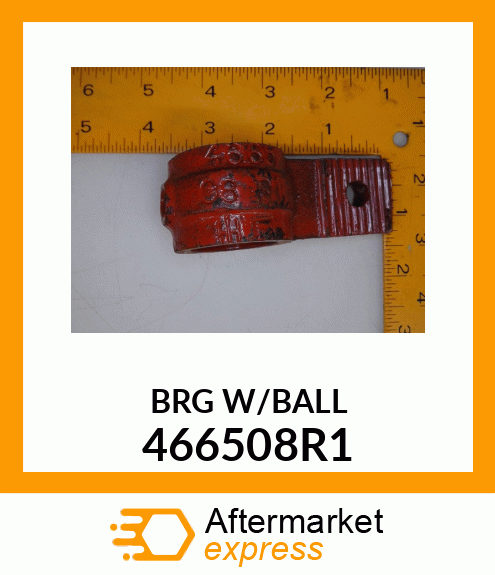 BRG W/BALL 466508R1