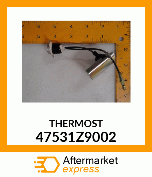 THERMOST 47531Z9002