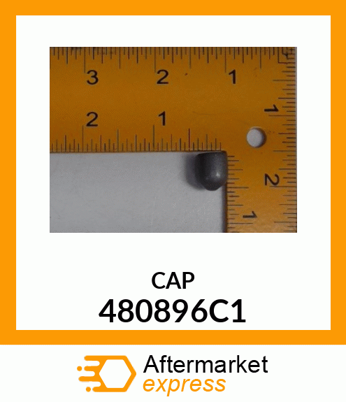 CAP 480896C1