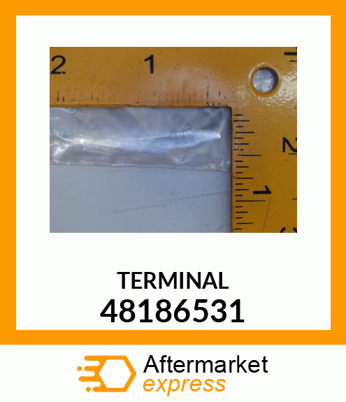 TERMINAL 48186531