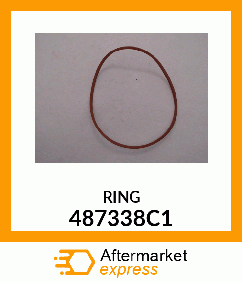 RING 487338C1