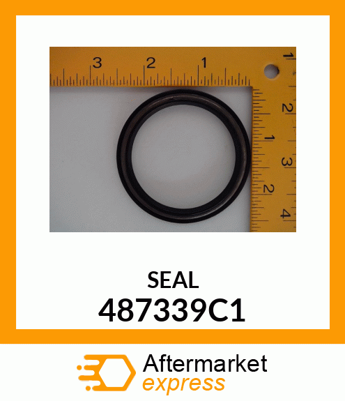 SEAL 487339C1